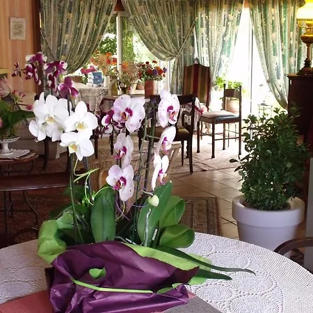 A L'amarante