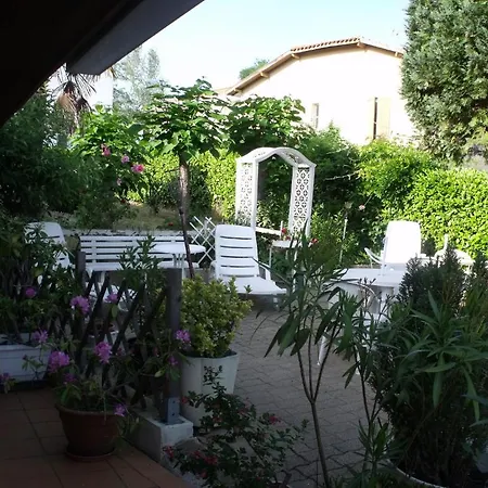 A L'amarante